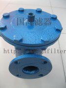 公稱(chēng)直徑DN100——藍(lán)式直通過(guò)濾器——新鄉(xiāng)直銷(xiāo)廠家